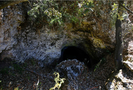 Cueva de los tobales